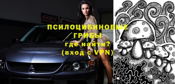 стафф Белокуриха