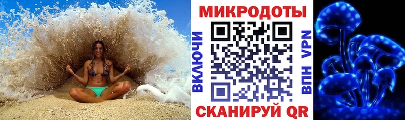 Псилоцибиновые грибы Cubensis  Пыть-Ях 